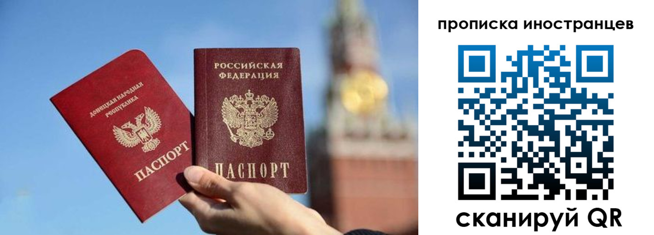 прописка штамп в Тереке