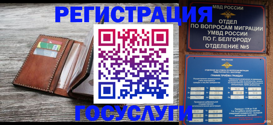 временная регистрация гарантия в Тереке